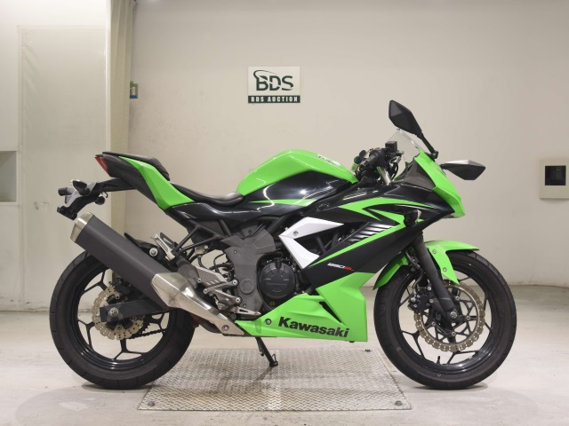 Kawasaki NINJA250 2015