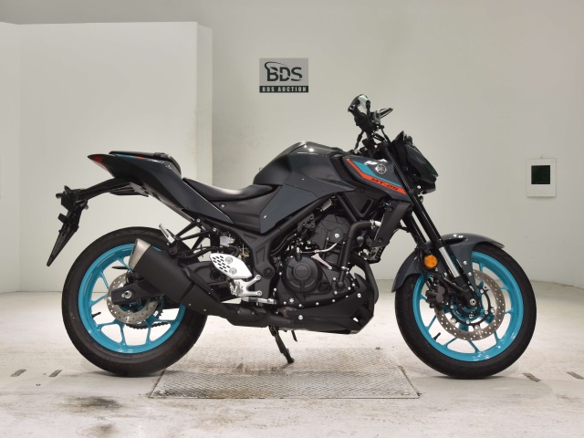 Yamaha MT-25 2022