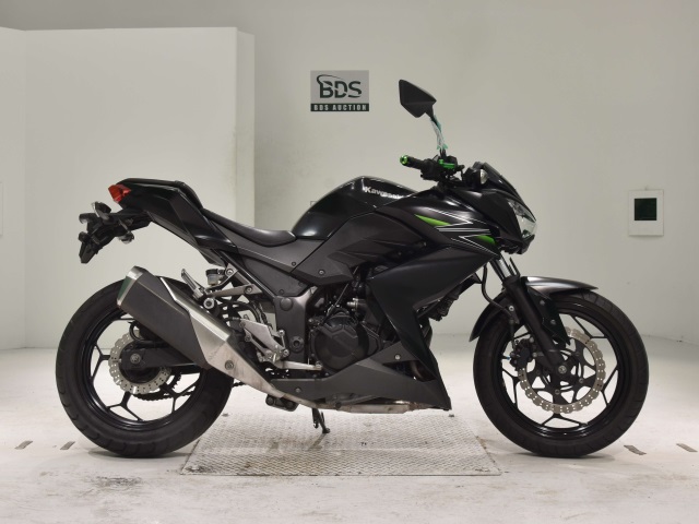 Kawasaki Z250 2013
