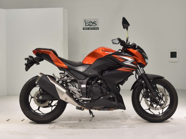 Kawasaki Z250 2014