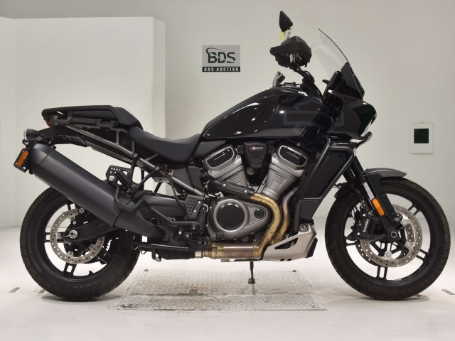 HD PAN AMERICA1250 S 2022