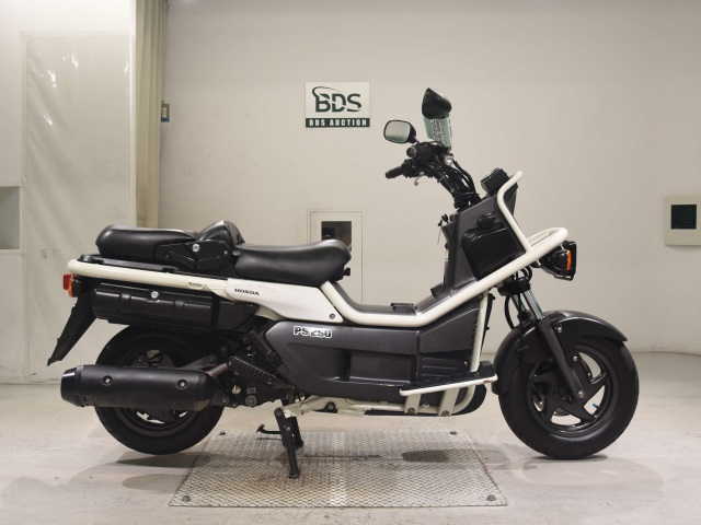 Honda PS250 BIG RUCKUS 2004