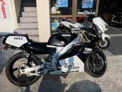Yamaha TZR250 1989