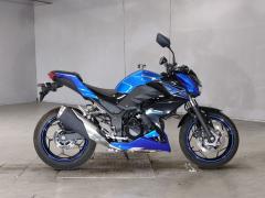 Kawasaki Z250 2015