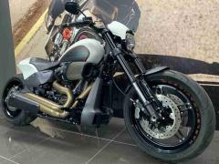 HD SOFTAIL FXDRS1870 2019