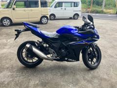 Suzuki GSX250R