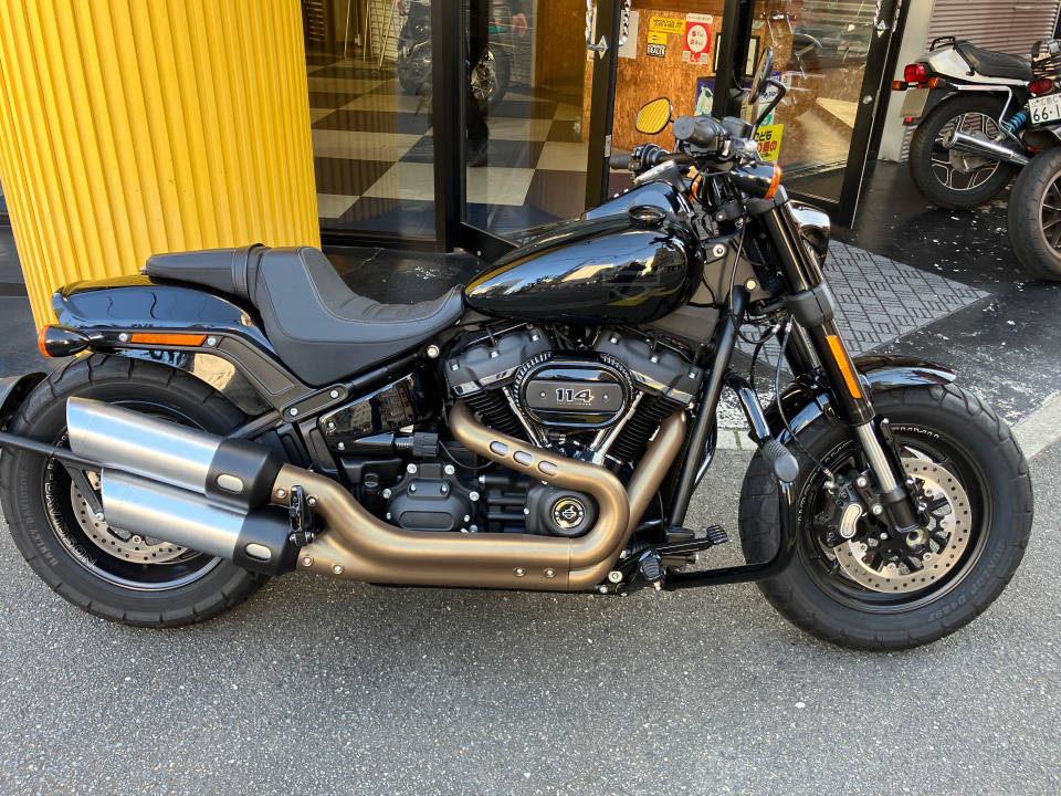 HD FAT BOB FXFBS1868 2019