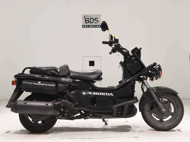 Honda PS250 BIG RUCKUS 2006
