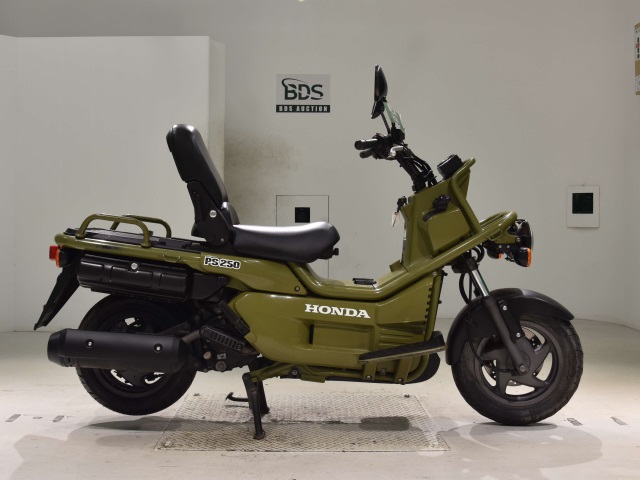 Honda PS250 BIG RUCKUS 2006