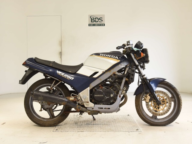 Honda VTZ250 1987