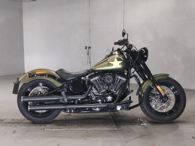 HD SLIM S FLSS1800 2016