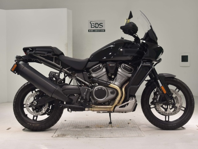 HD PAN AMERICA1250 S 2024
