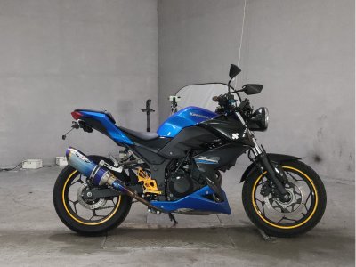 Kawasaki Z250 2015