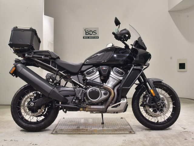 HD PAN AMERICA1250 S 2022