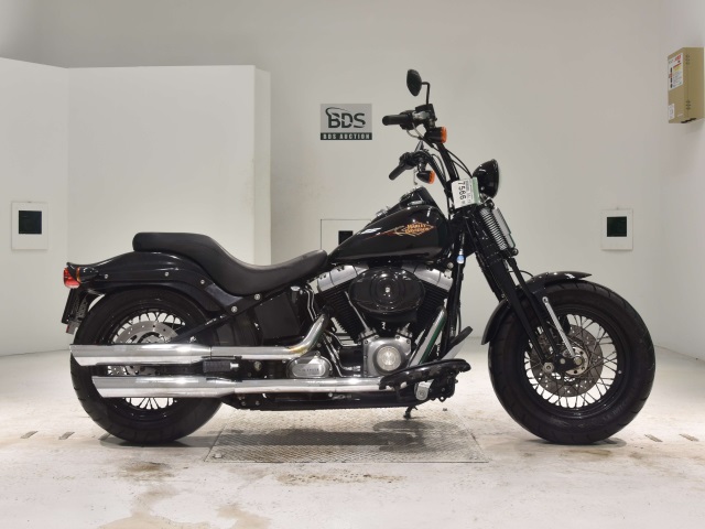 HD CROSS BONES FLSTSB1580 2010