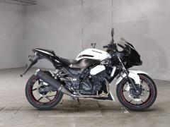 Kawasaki NINJA250R 2011