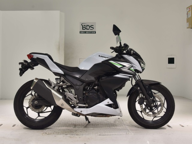 Kawasaki Z250 2014