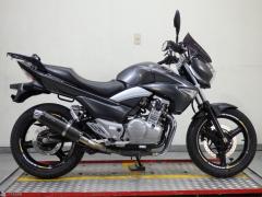 Suzuki GSR250