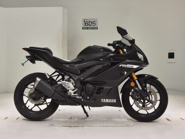 Yamaha YZF-R25 2019