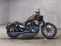 HD SPORTSTER IRON XL883N 2019