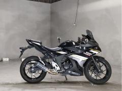Suzuki GSX250R