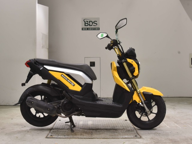 Honda ZOOMER-X 2013