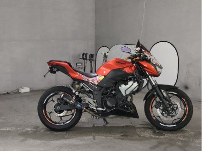 Kawasaki Z250 2014