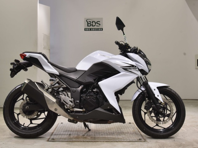 Kawasaki Z250 2013