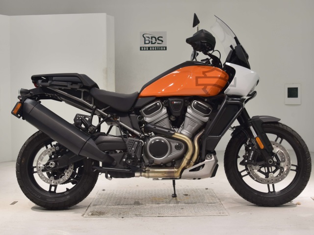 HD PAN AMERICA1250 S 2024