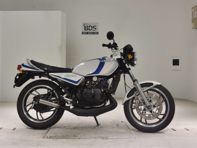 Yamaha RZ250