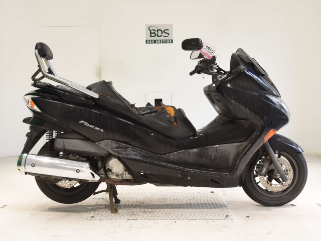 Honda FORZA Z 2009