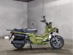 Honda PS250 BIG RUCKUS 2006