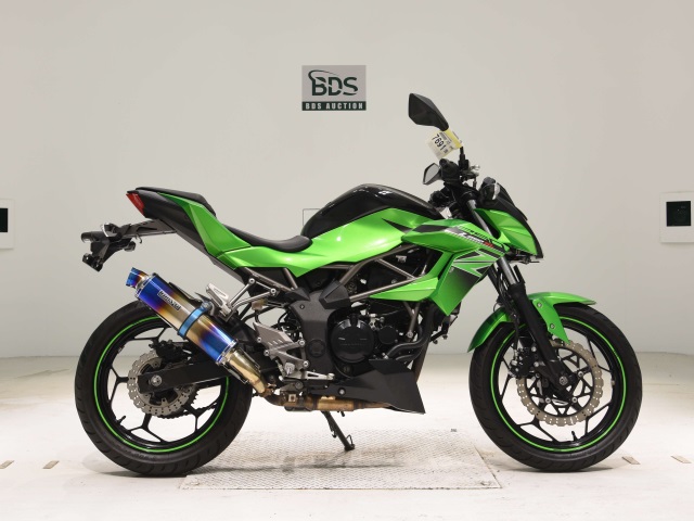Kawasaki Z250SL 2016