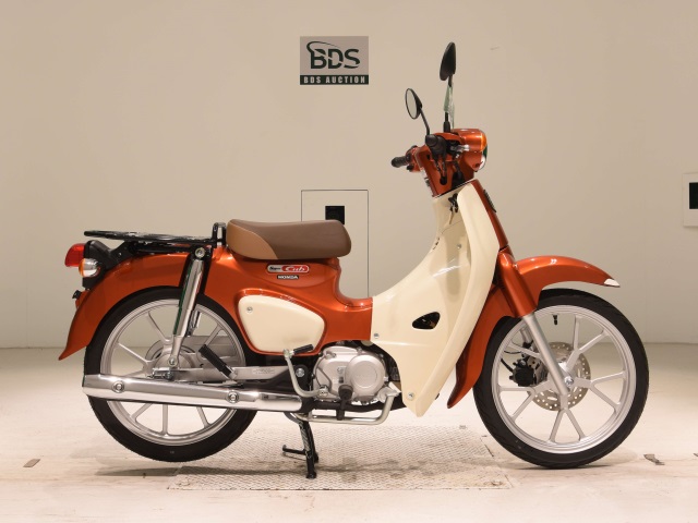 Honda SUPER CUB110 2022
