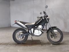 Yamaha TRICKER 2004