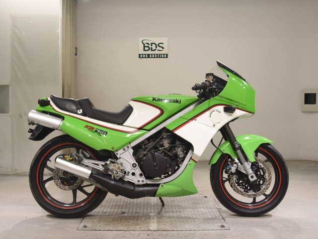 Kawasaki KR250