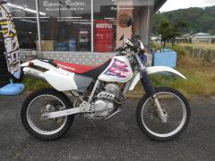 Honda XR250 1995
