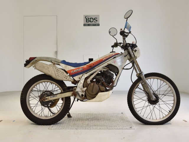 Honda TLR250R 1986