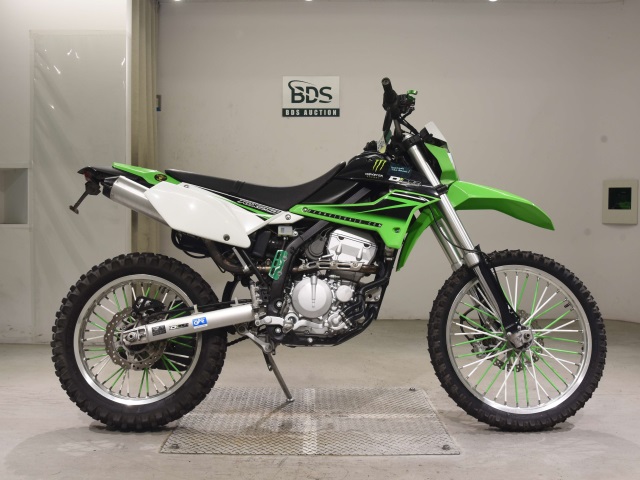 Kawasaki KLX250 2010