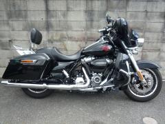 HD ELECTRA GLIDE FLHTC 2019