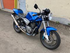 Suzuki GOOSE350 1996