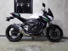 Kawasaki Z250 2019