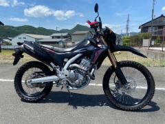 Honda CRF250LD RALLY 2019
