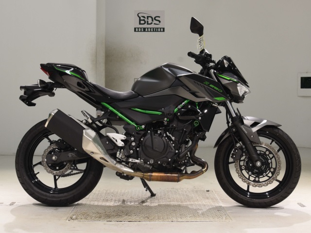 Kawasaki Z250 2024