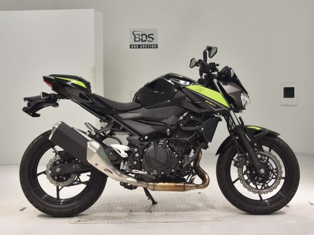 Kawasaki Z250 2022
