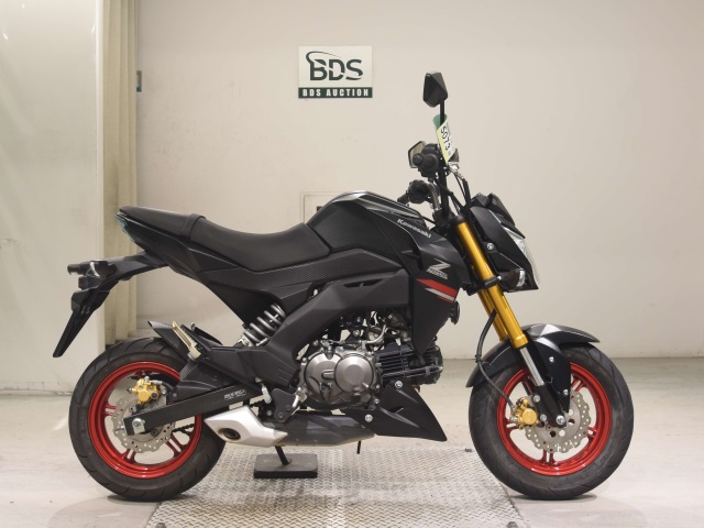 Kawasaki Z125 PRO 2021