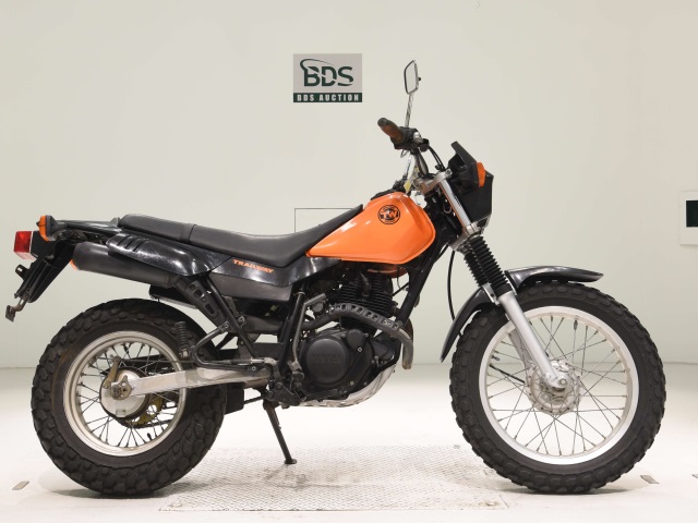 Yamaha TW200 1996