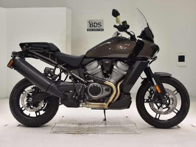 HD PAN AMERICA1250 2024