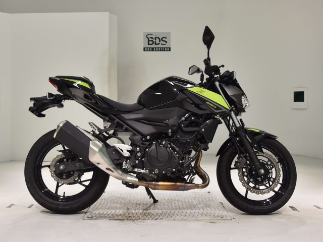 Kawasaki Z250 2022