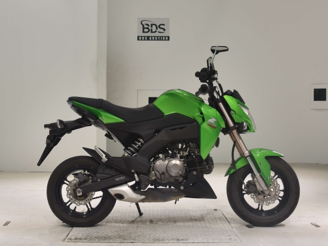 Kawasaki Z125 PRO 2016